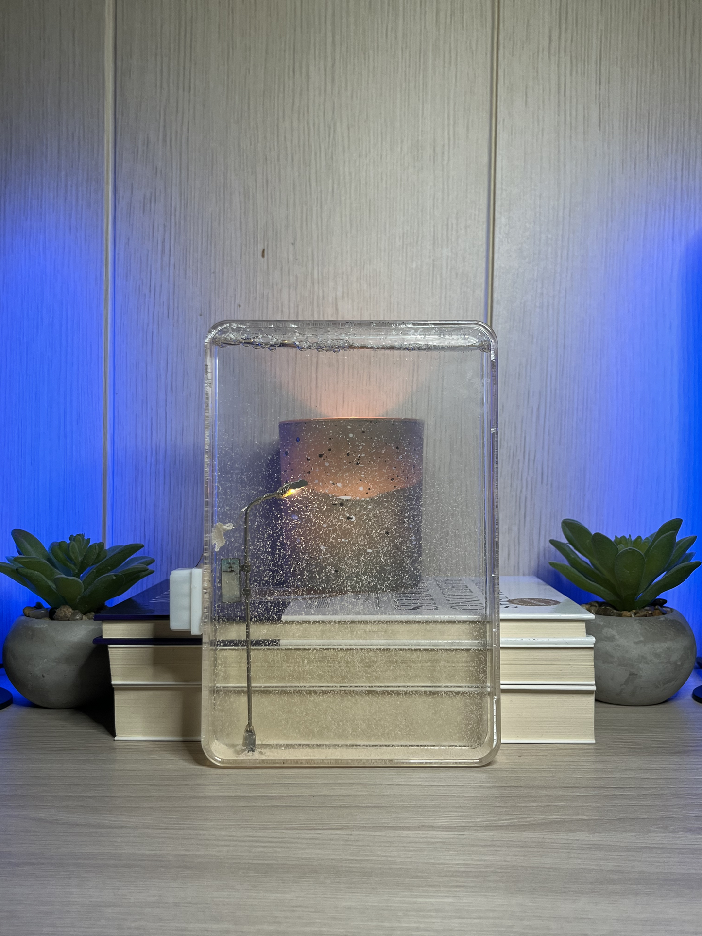 Homeadvisor™ Illuminated Snowy